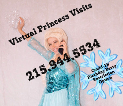 Princess Video Call, ZOOM Princess Calls
